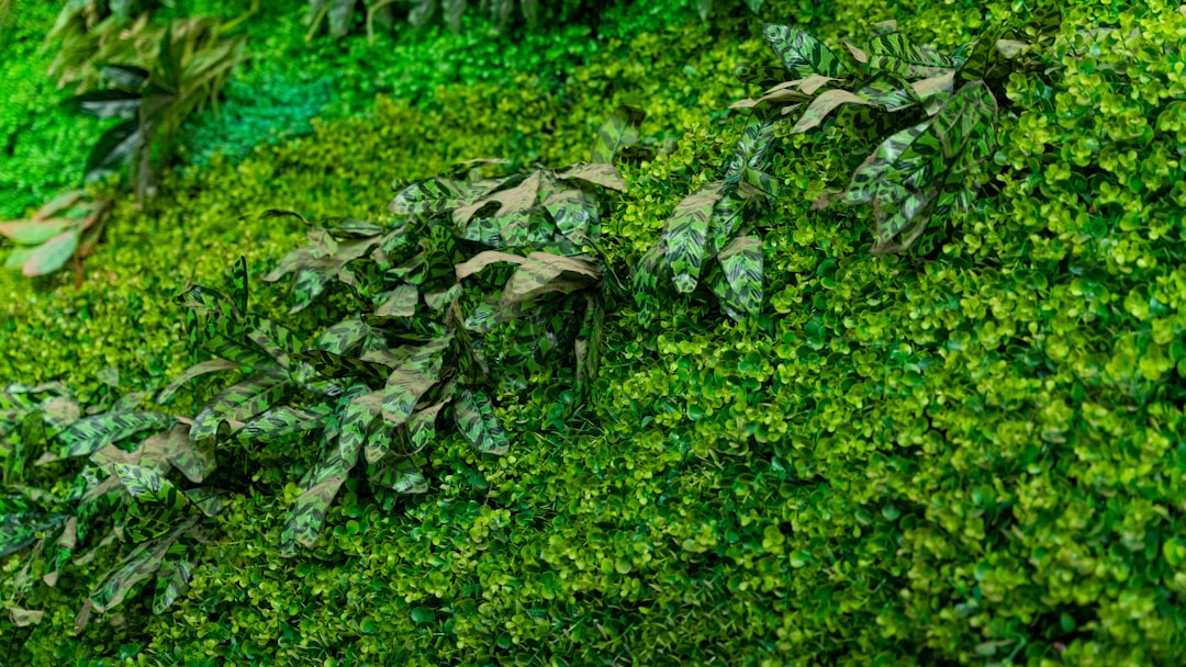 blog_2