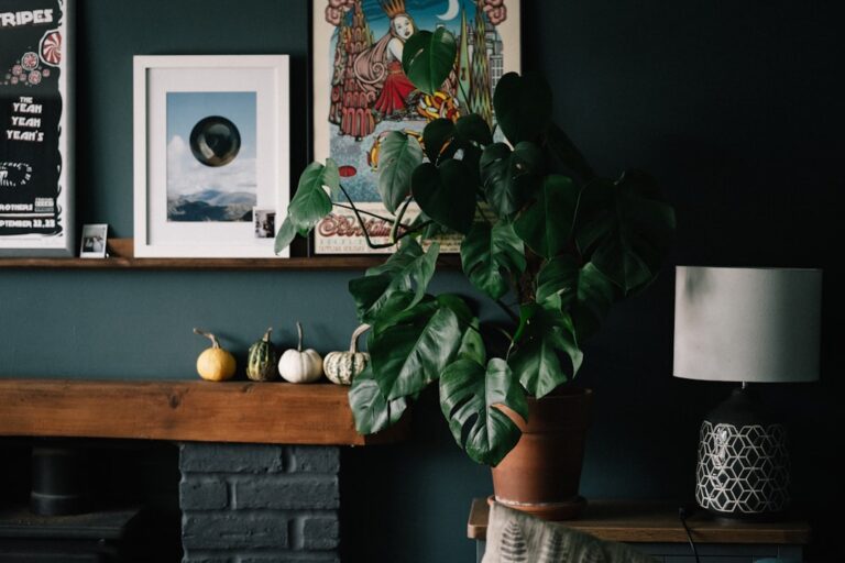 Accessorizing with Intent: Finding Peaceful Decor Pieces